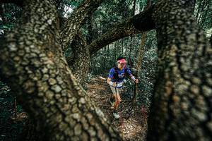 BIB: 
                            <button type="button" onclick="openModal(25392464)" class="btn btn-primary btn-sm float-right btn-popup" data-toggle="modal" data-target=".modal-high-quality">
                        <i class="fas fa-shopping-cart"></i> Add to Cart
                    </button>
                                            <button type="button" onclick="isThisMe(25392464, true)" class="btn btn-success btn-sm float-right btn-popup btn-isme hidden" data-toggle="tooltip" data-placement="bottom" title="นี่คือรูปของคุณใช่ไหม คลิกที่นี่เพื่อเอาเข้าอัลบั้ม">
                        <i class="fas fa-plus"></i> Add to album
                    </button>
                    <button type="button" onclick="isThisMe(25392464, false)" class="btn btn-warning btn-sm float-right btn-popup btn-isnotme hidden">
                        <i class="fas fa-ban"></i> Remove from album
                    </button>